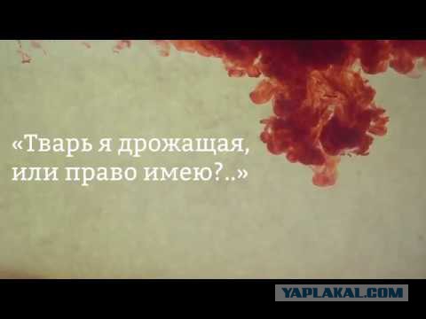 Депутат Окунева: «Единая Россия» сохранит пособие на ребенка в размере 50 рублей в месяц. Увеличить его нельзя