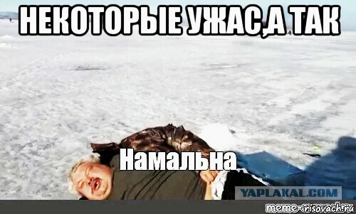 Леопёрдовые леди слишком дикие, чтобы жить и слишком редкие, чтобы сдохнуть.