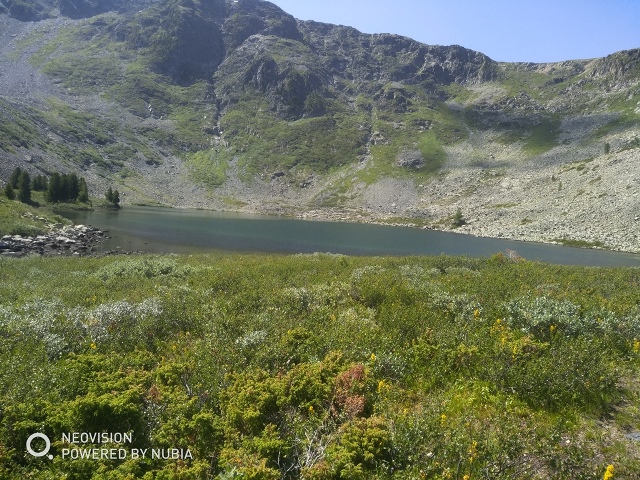 Сам себе фотограф