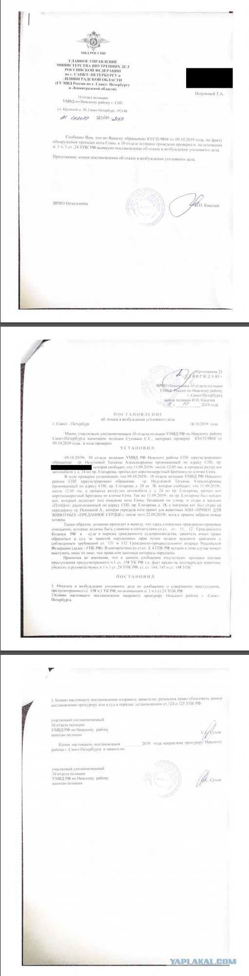 Помогите вернуть кота! Приют "Преданное сердце" украл кота и не отдает!-2