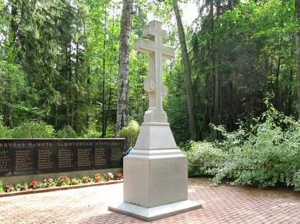 Здесь даже когда захочешь плакать, то не всегда можно заплакать.Воспоминания о валаамских инвалидах.