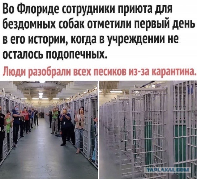 Так себе картинки 7