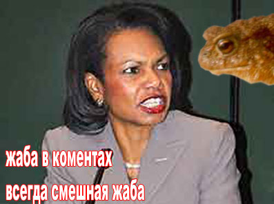 Жабы на ЯПлакалъ