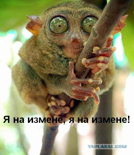 Фотожаба: В рот мне ноги!