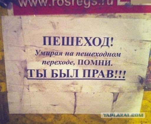 Мать и двоих её детей сбили на переходе в Петербурге. Ребятишки госпитализированы в больницу
