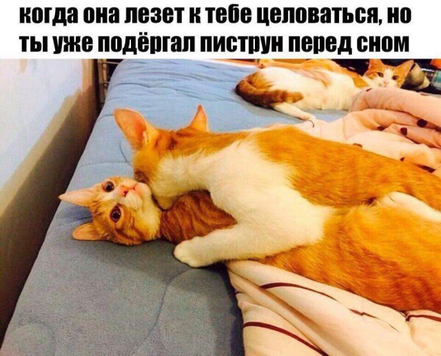 Новую порцию лайтовой чернушки не желаете?
