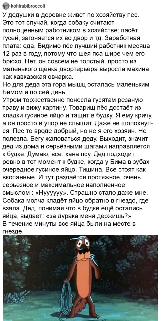 Картинки с надписями и всякие жизненные фразы 15.05.21
