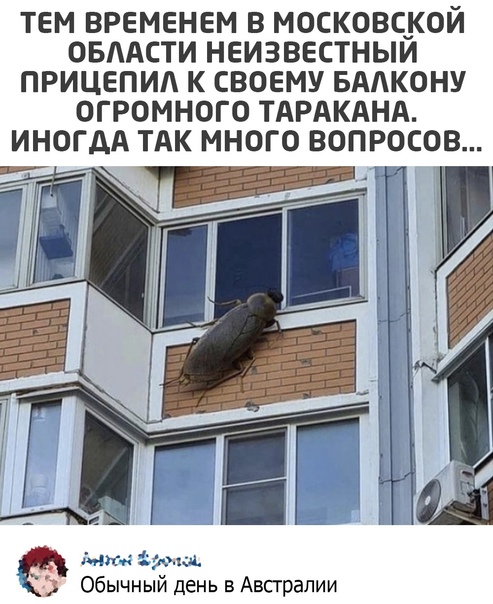 Картинки на вчера
