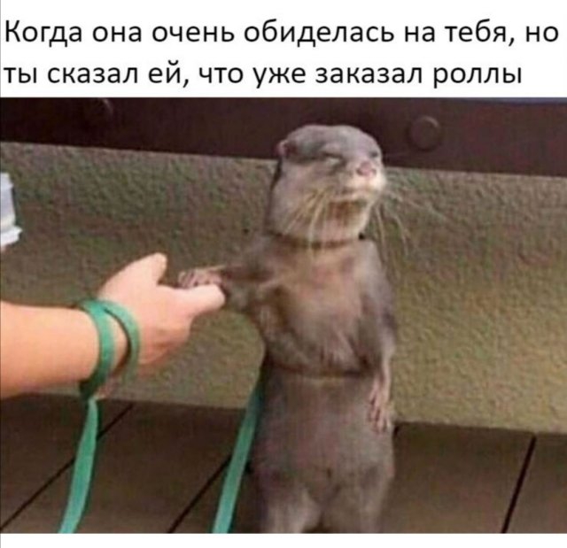 Картинки и мемы для настроения 21.06.2021