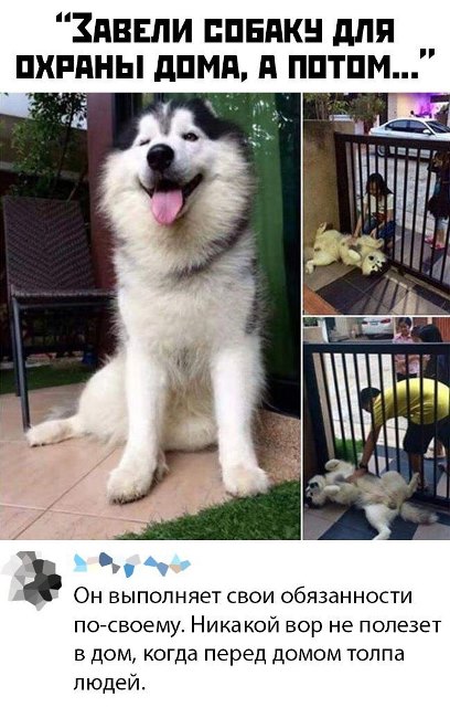 Картинки и мемы, всем прекрасных выходных