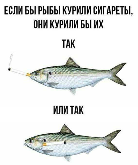 Так себе картинки 11.02.22