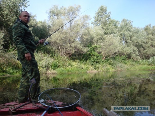 Рыбалка на волге видео
