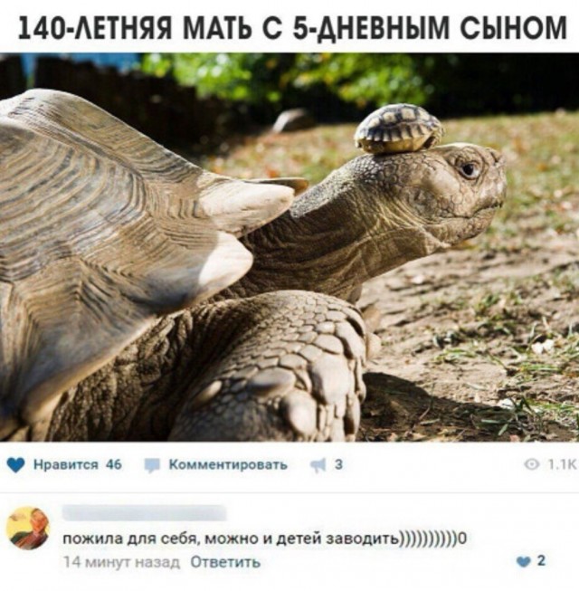 Так себе картинки 17.04.22