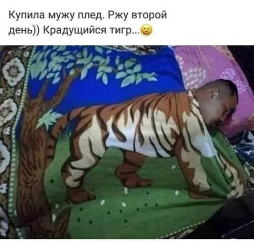 Так себе картинки 12.05.22