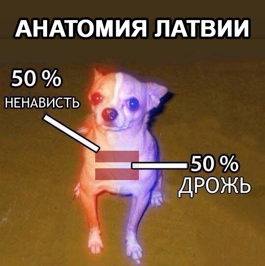 Латвия официально уведомила Россию о приостановке действия соглашения, которое защищает советские памятники