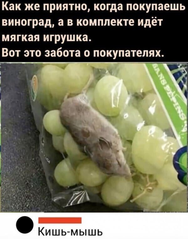 Баянисто-небаянистый юмор 7.06.22