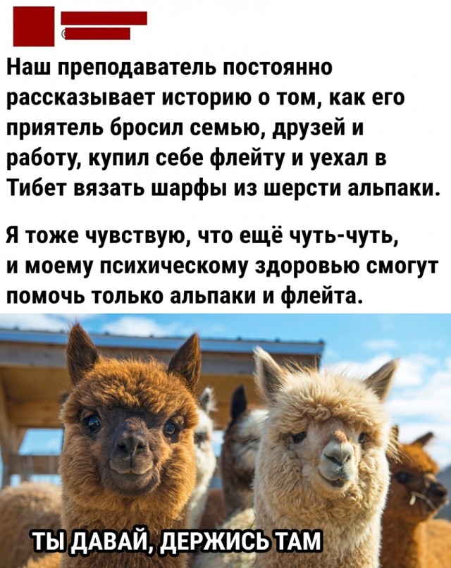 Так себе картинки 17.10.22