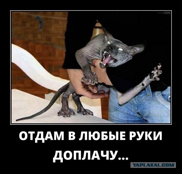 Только прикоснись!