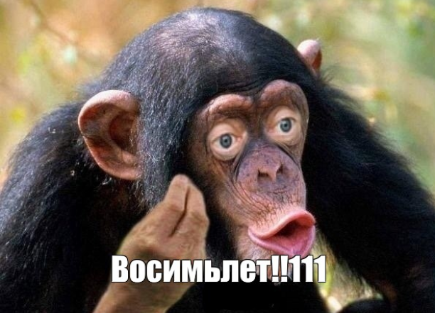 Белорусские пограничники заявили о провокации