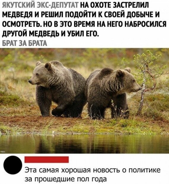 Чёрно-пошлая деградация