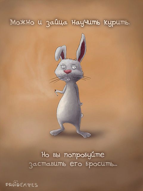 Народная меДИЧина 7033