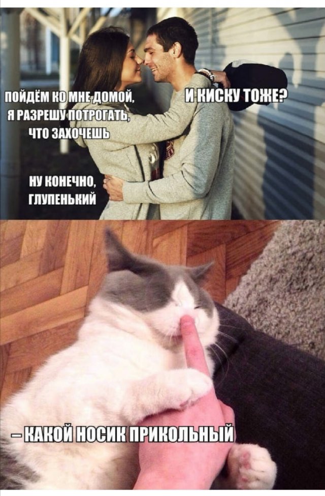 Картинки и мемы, всем хороших выходных