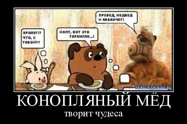 Народная меДИЧина 7034