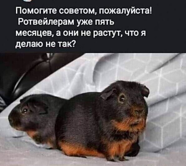 Так себе картинки 21.08.23