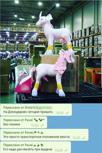 Нуштош 29.12.2023