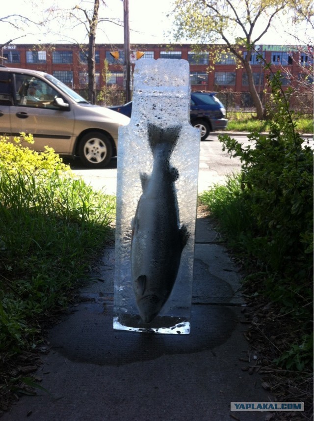 Как нас наё..вают магазины