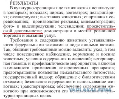 Из московской библиотеки выгнали кота после доноса пенсионера, которому заведующая запретила выпивать в зале
