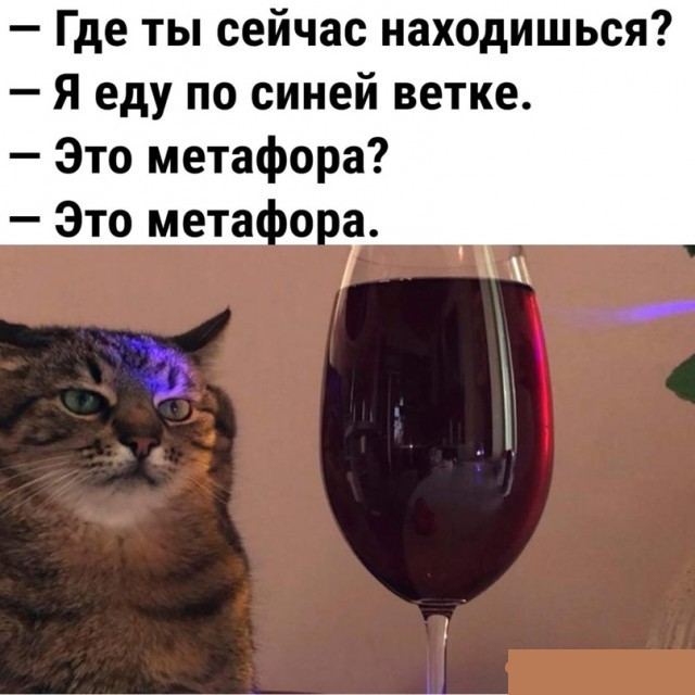 Дурдом (Бояны)