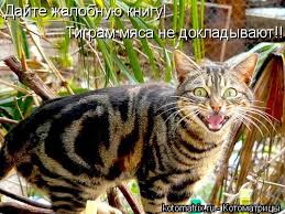 Запашный оценил перспективы запрета цирка с животными