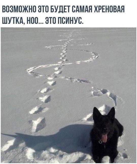 Так себе картинки 02.03.25