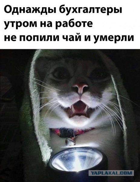 Не уберёг⁠⁠