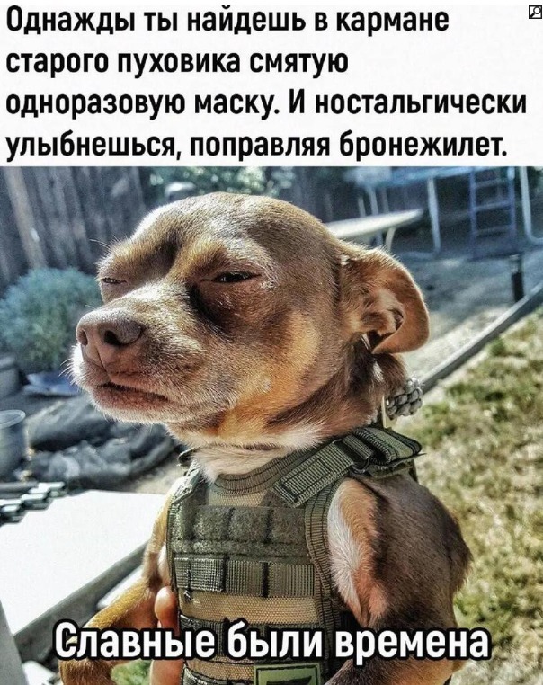Профессор предложил вернуть маски из-за вируса, вызывающего кашель с кровью