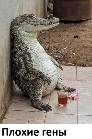 - В "Пятёрочку" заскочим?