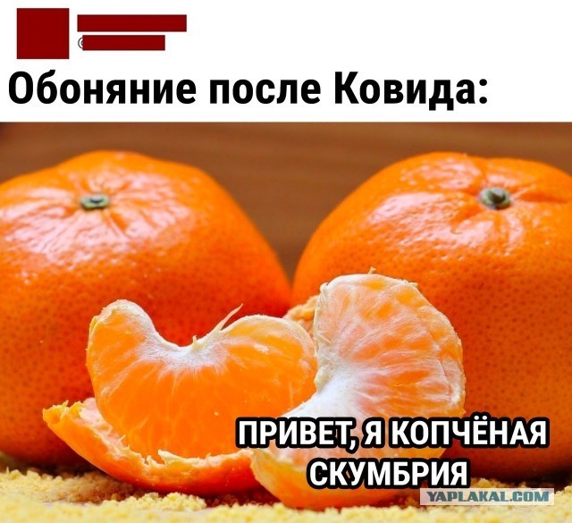 Кажется, у нас появился шанс снова почувствовать запахи
