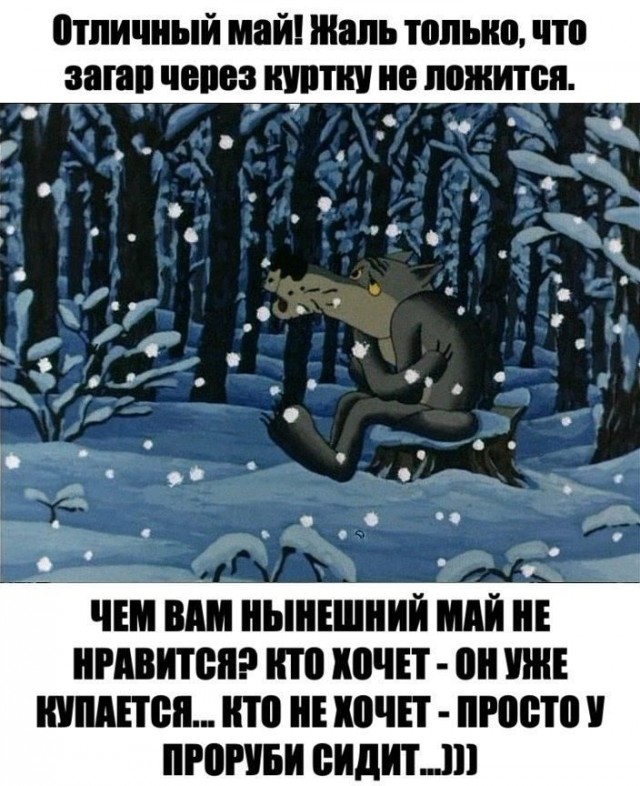 В такую погоду желательно зарыться во что-то пушистое и не высовываться