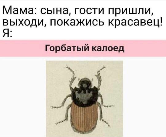 Веселое настроение в картинках (11.07.2025)