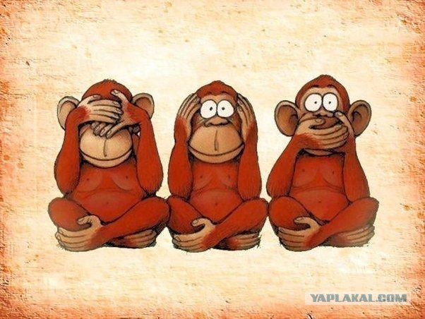 Музыка это харам. Вы хотите чтобы вам отрезали головы? Вам отрежут
