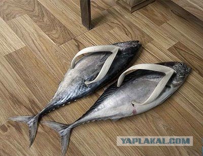 Необычные изобретения итальянского художника