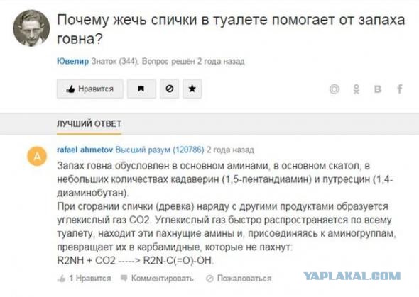 Как избавиться от трупного запаха в квартире