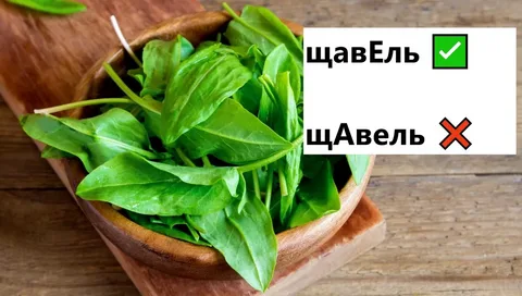 Разорванный щавель. Если видео посмотришь поймёшь о чём речь
