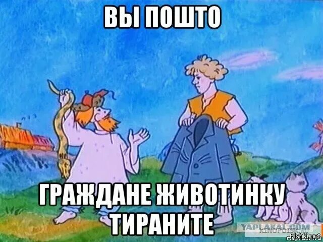 Аквапарк