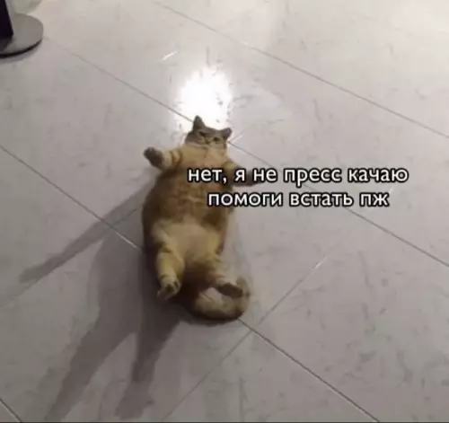 Картиночки, баянчики 19 февраля