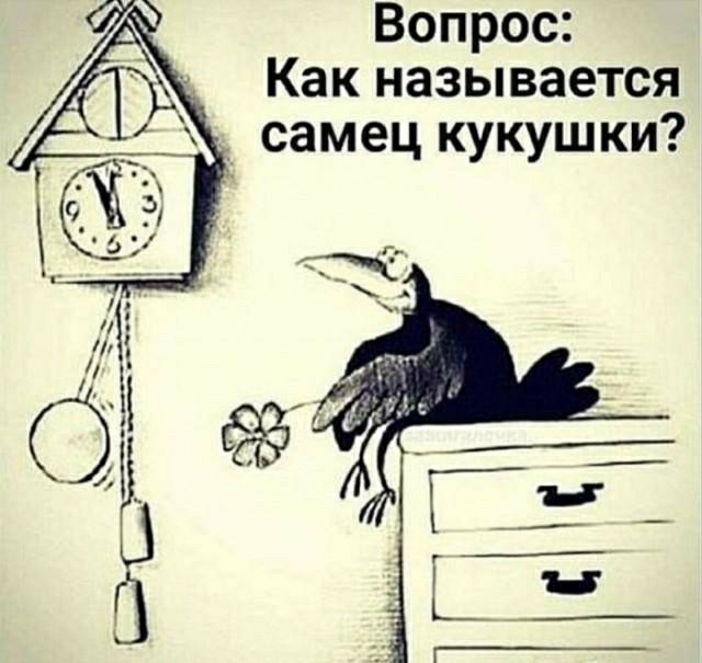 Картинки для деградации 202 (разной степени свежести)