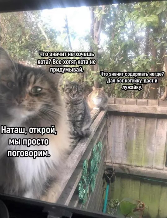 Картинки для деградации 210 (разной степени свежести)