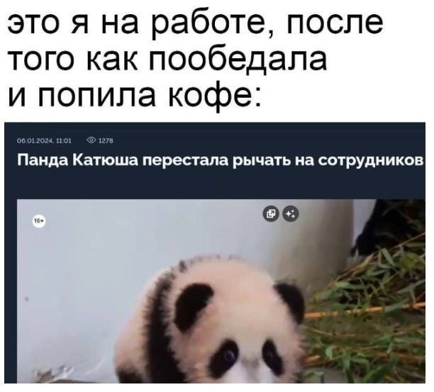 Картиночки, баянчики 03 июня
