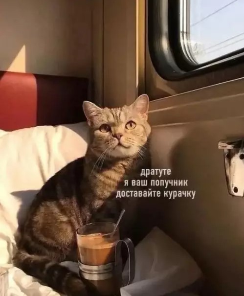 Так себе картинки 19.06.26